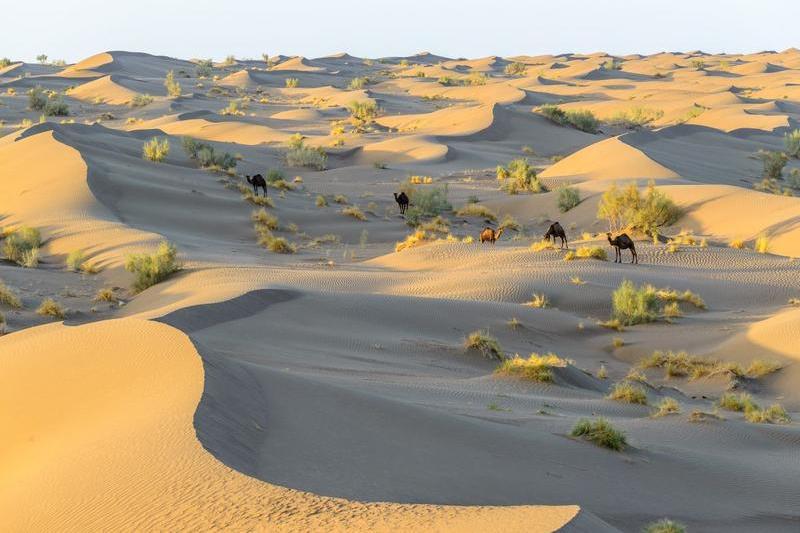 Peisaj desertic in Iran, Foto: Shutterstock