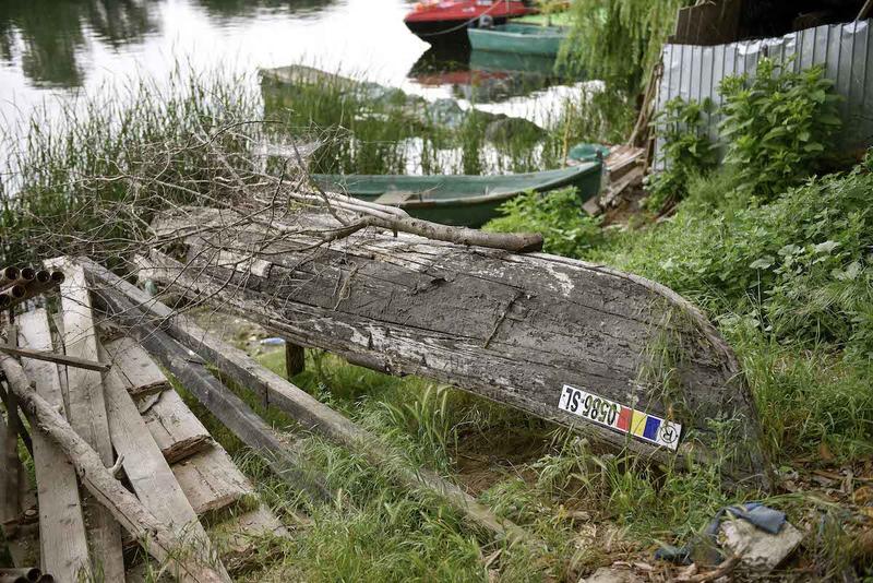 Delta Dunarii, Tulcea, Foto: Inquam Photos / Alex Nicodim