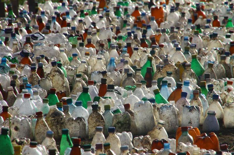 PET-uri, Foto: Shutterstock