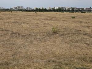 Iarba uscata, Foto: Vlad Barza / HotNews.ro