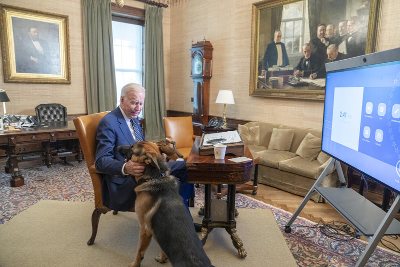 Joe Biden cu câinele său, Commander, Foto: White House / Zuma Press / Profimedia