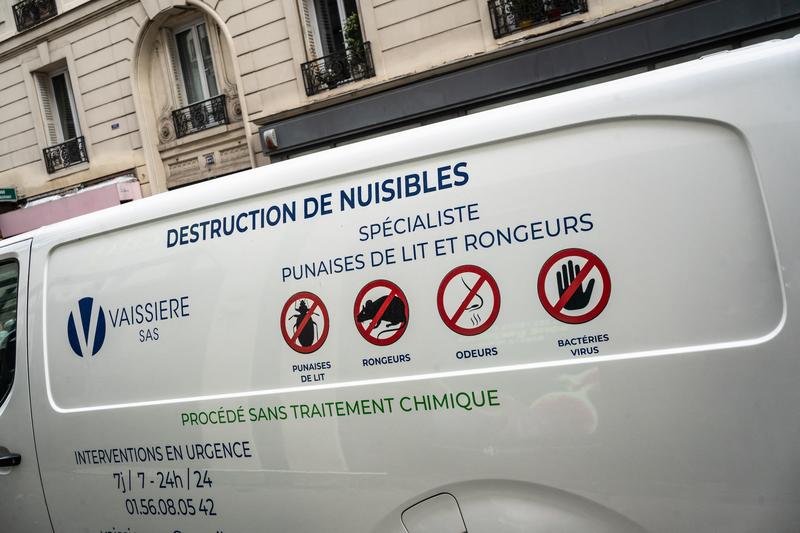 Invazie de ploşniţe la Paris, Foto: Laure Boyer / AFP / Profimedia Images