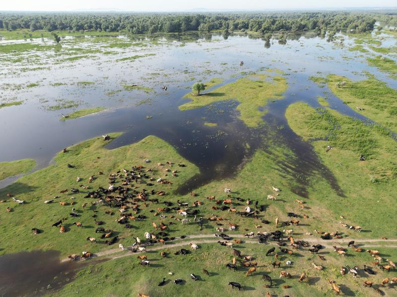 Chilia Veche, România, Foto: Ionut IORDACHESCU / AFP / Profimedia