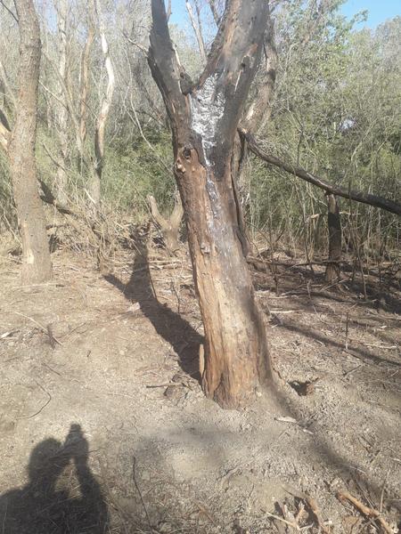 Locul în care a căzut drona rusească în apropiere de satul Plauru, Foto: Costel și Daniela Tănase din satul Plauru