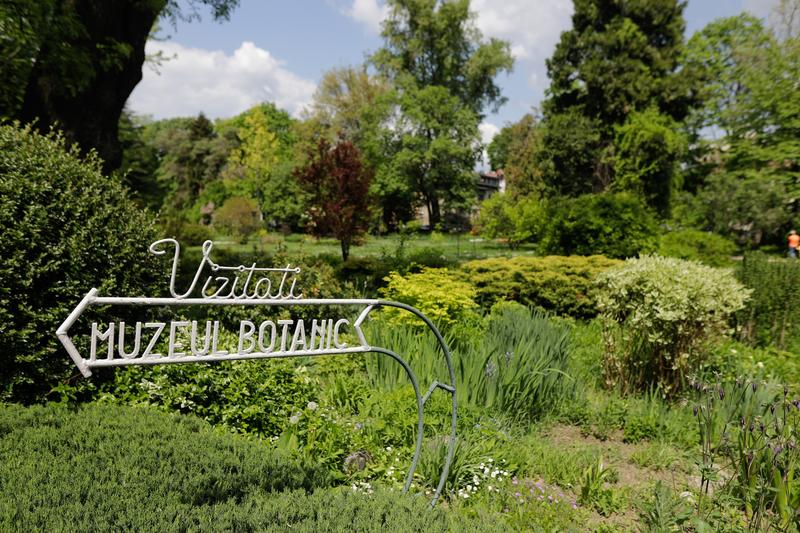 Grădina botanică din București, Foto: Inquam Photos / George Călin