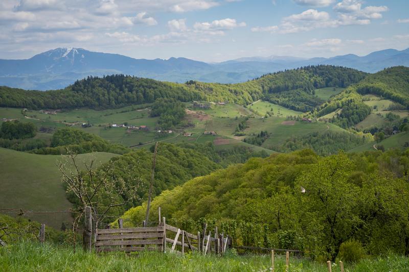 Dealuri, peisaj, Foto: Inquam Photos / Lavinia Cioaca