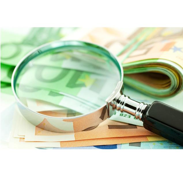 euro-bani-lupa, Foto: Dreamstime