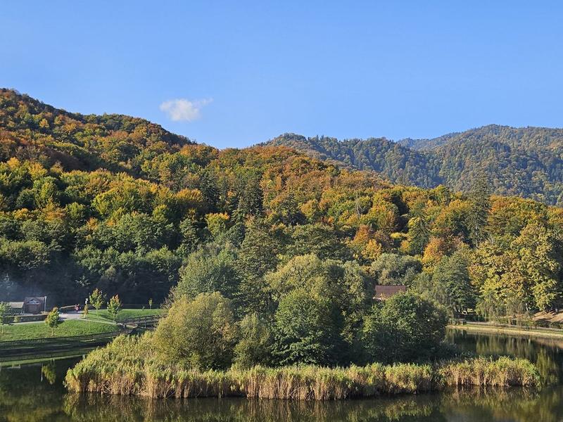 Culorile toamnei, Foto: Vlad Barza / HotNews.ro