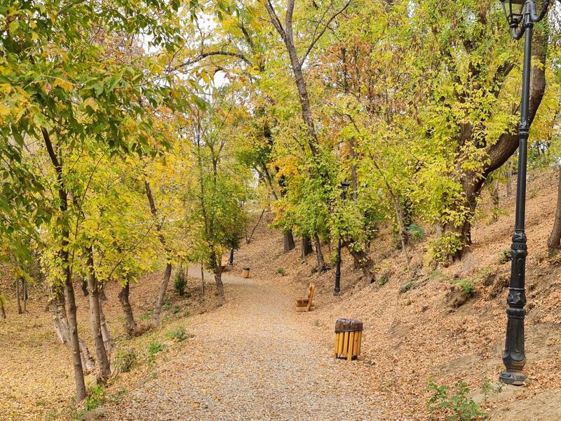 Culorile toamnei, Foto: Vlad Barza / HotNews.ro