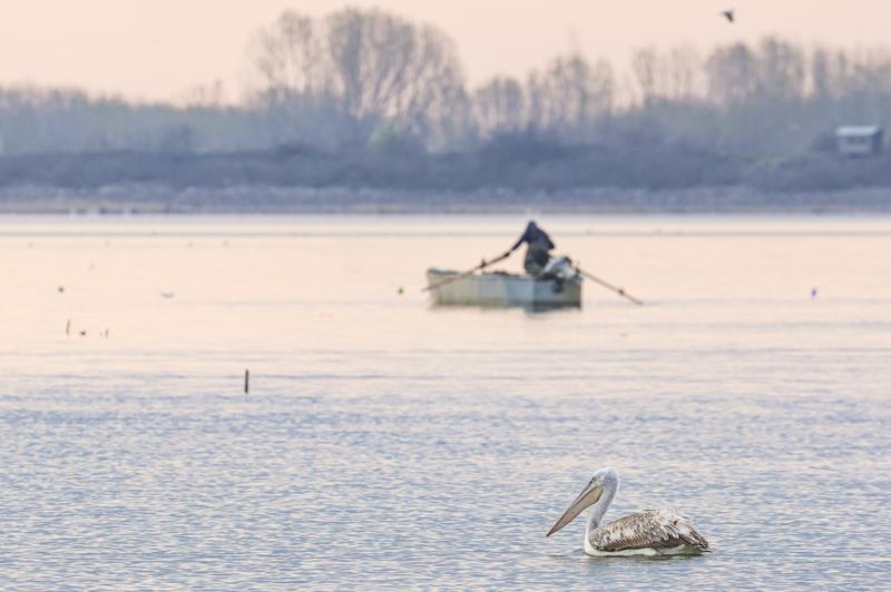 Pescar in Delta Dunarii, Foto: Nicolas Economou-NurPhoto / Shutterstock Editorial / Profimedia Images