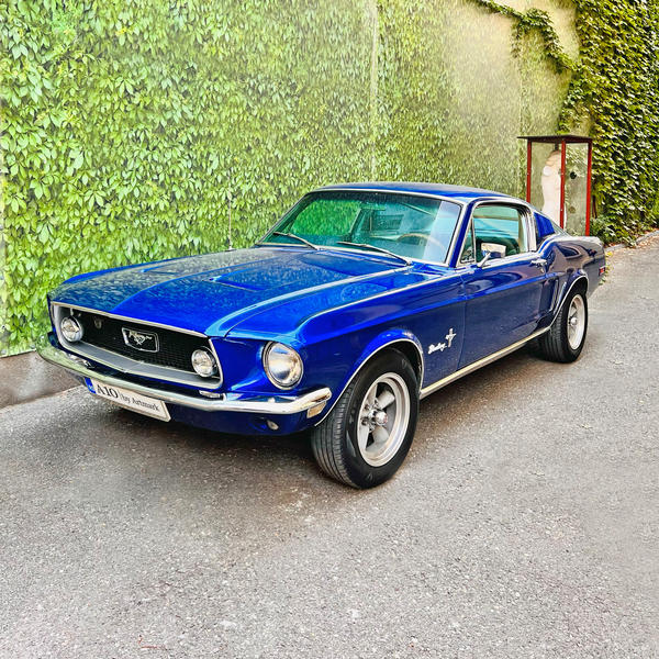 Automobil Ford Mustang Fastback, Foto: Artmark