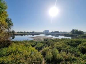 Delta Vacaresti , Foto: Hotnews / Catiușa Ivanov