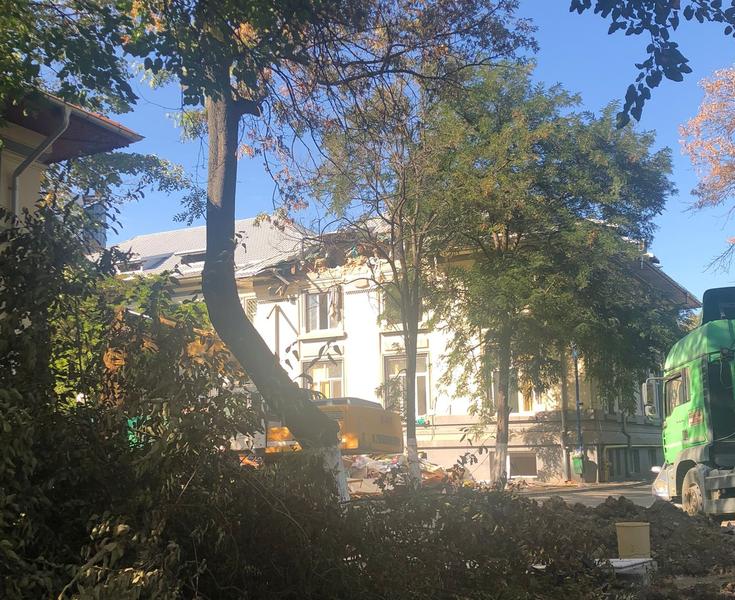 Demolare corp vechi Spitalul Gomoiu, Foto: Ruxandra Nemteanu