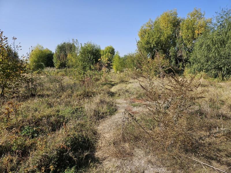 Peisaj de toamna secetoasa, Foto: Vlad Barza / HotNews.ro