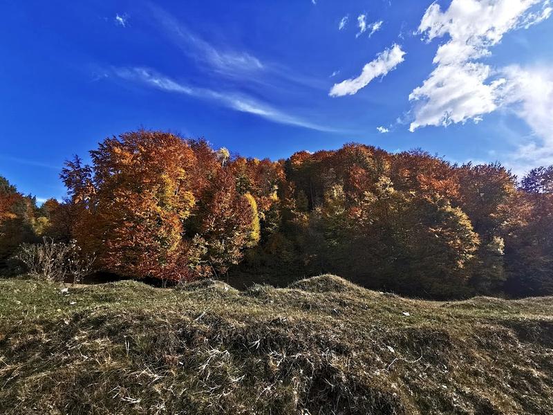 Peisaj de toamna, Foto: Adrian Ilincescu/ HotNews.ro