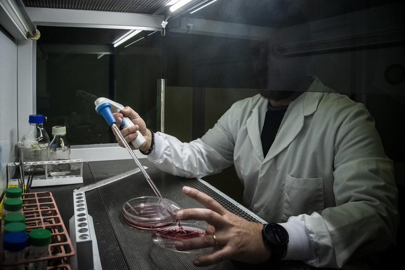 Cercetare pentru carne sintetică, Foto: Serrano/AGF / Shutterstock Editorial / Profimedia