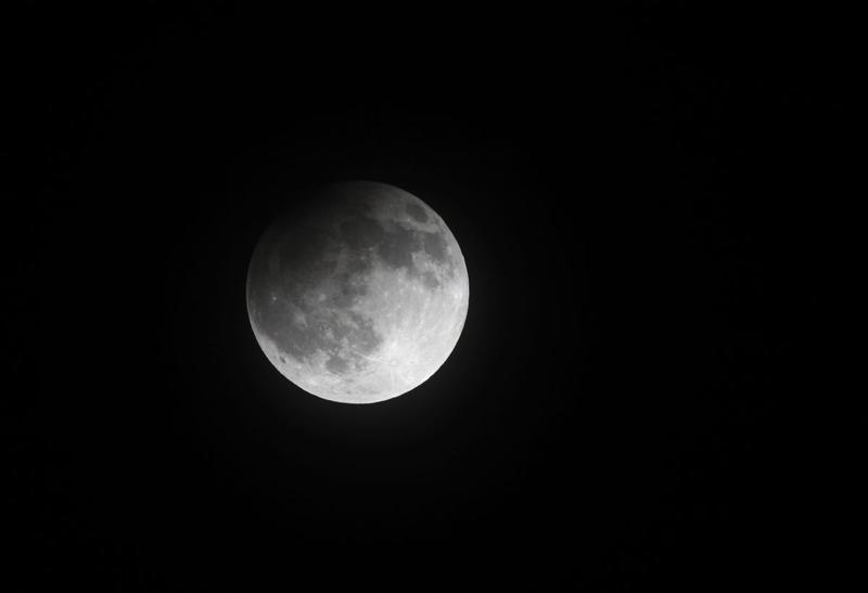 Luna, Foto: Dr Ajay Kumar Singh, Dreamstime.com