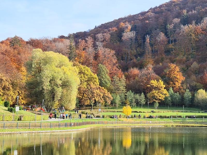 Culori frumoase ale frunzelor de toamna, Foto: Vlad Barza / HotNews.ro