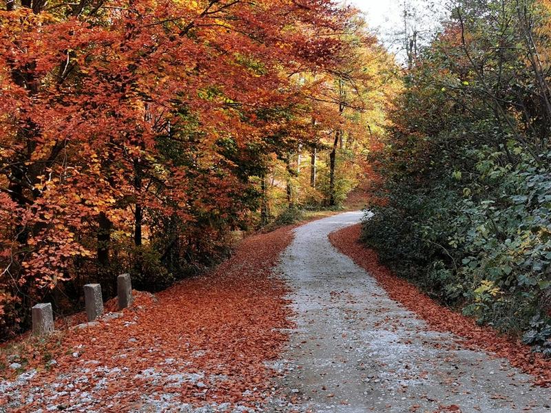 Peisaj de toamna, Foto: Adrian Ilincescu/ HotNews.ro