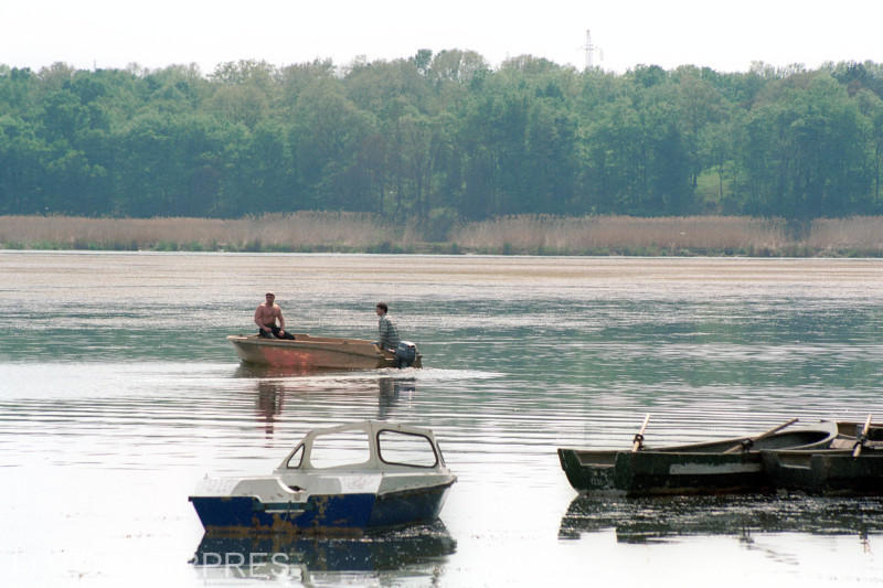 Lacul Cernica, Foto: Agerpres