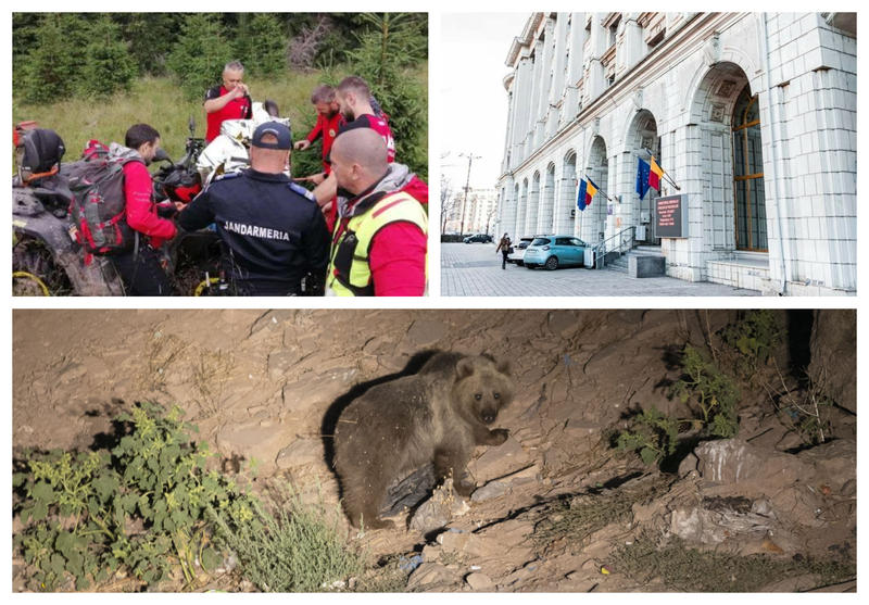 Atac urs, Foto: Colaj fanatik.ro
