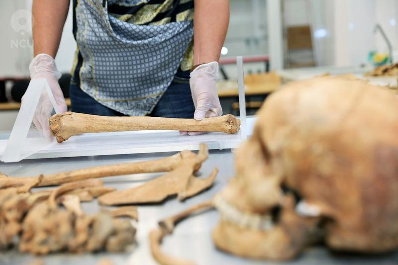 Anul trecut arheologii au descoperit la Pien si scheletul unei femei banuite ca a fost strigoi, Foto: Andrzej Romanski-Cover Images / INSTAR Images / Profimedia