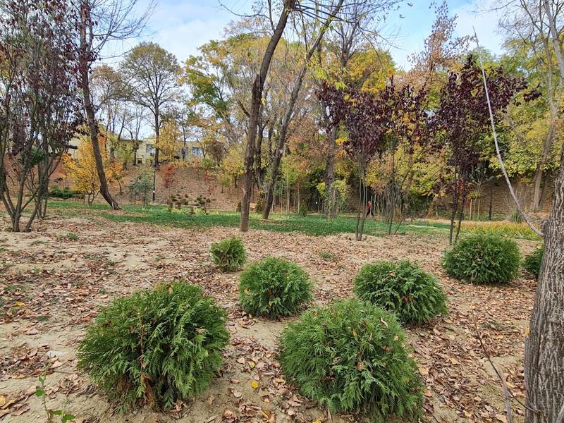 Peisaj de octombrie, Foto: Vlad Barza / HotNews.ro