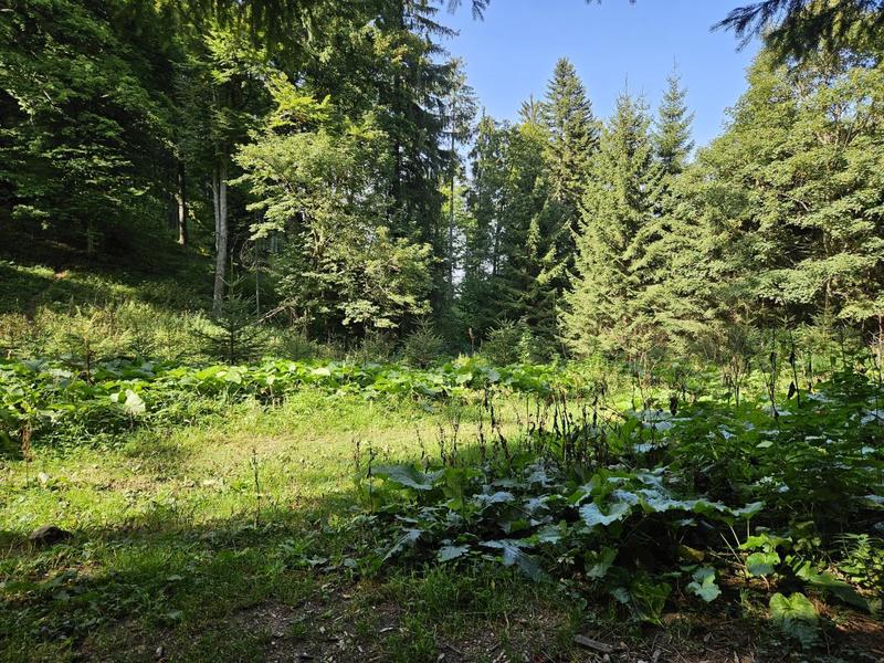 Peisaj de septembrie, Foto: Vlad Barza / HotNews.ro