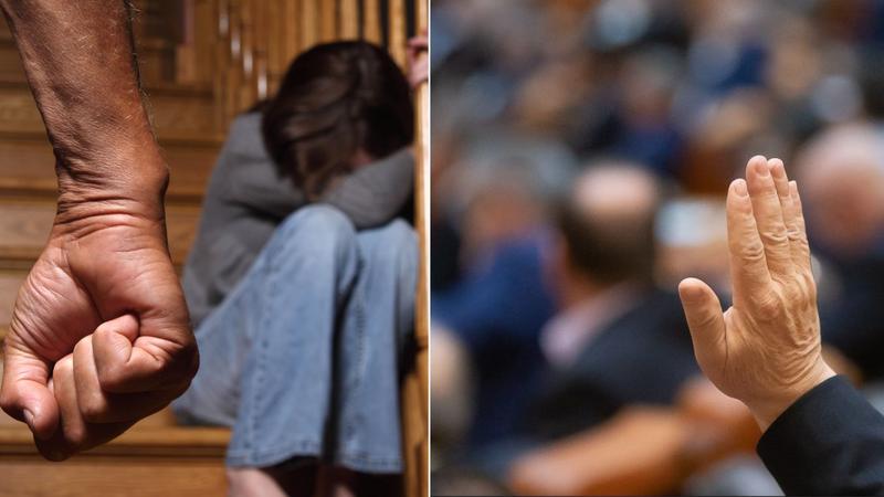 Parlamentul vrea să îndrepte eroarea legată de abuzurile sexuale împotriva minorilor, Foto: Colaj fanatik.ro