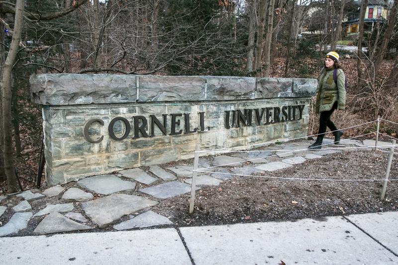 Universitatea Cornell din SUA, Foto: Ted Shaffrey / AP / Profimedia