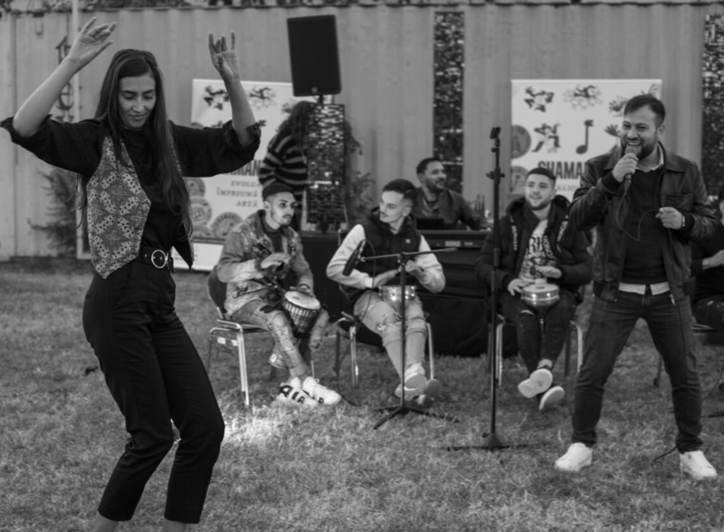 scena din spectacolul de pe Arena Verde Stop, Foto: Contributors.ro