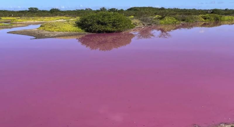 Apa unui lac din Hawaii a devenit roz , Foto: captura video