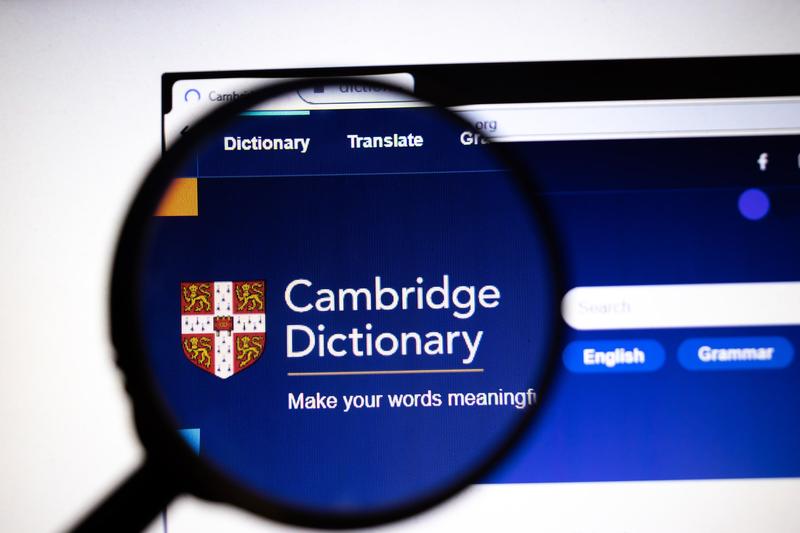 Site-ul Dictionarului Cambridge, Foto: Transversospinales / Dreamstime.com