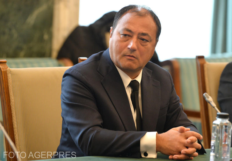 Mirel Palada, Foto: AGERPRES