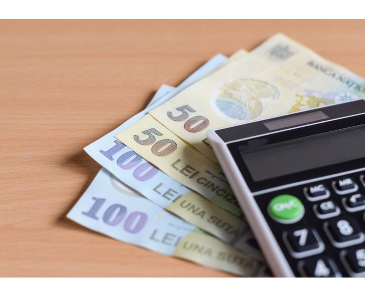 bani-lei-calculator, Foto: Dreamstime