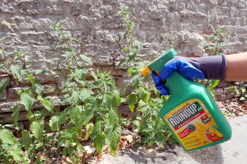 Controversatul erbicid cu glifosat Roundup produs de Monsanto și preluat de Bayer, Foto: XAMAX / AFP / Profimedia