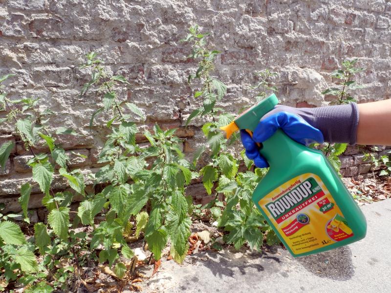 Controversatul erbicid cu glifosat Roundup produs de Monsanto și preluat de Bayer, Foto: XAMAX / AFP / Profimedia