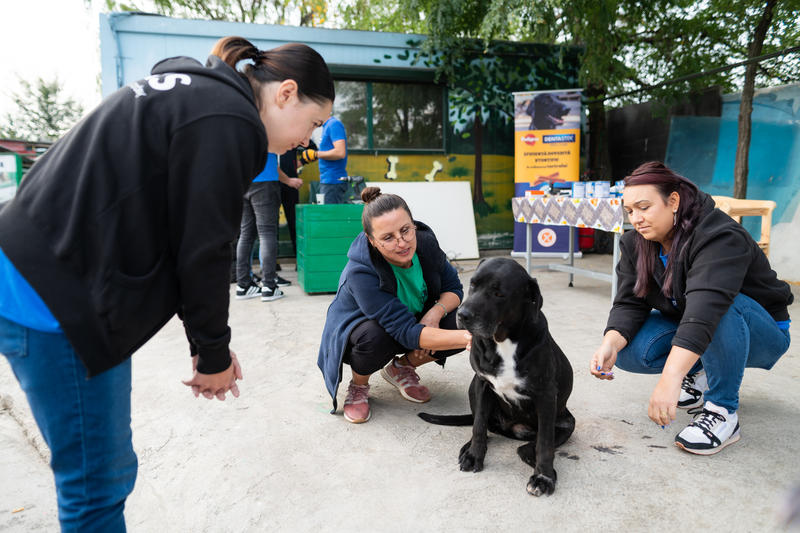 Mars România și Adăpostul Speranța împreună de Ziua Internațională a Animalelor, Foto: Mars Romania