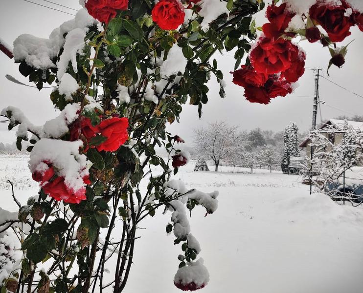 Zapada de toamna, Foto: Victor Cozmei / HotNews.ro