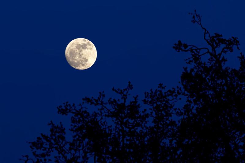 Luna plina, Foto: Patryk Kosmider, Dreamstime.com