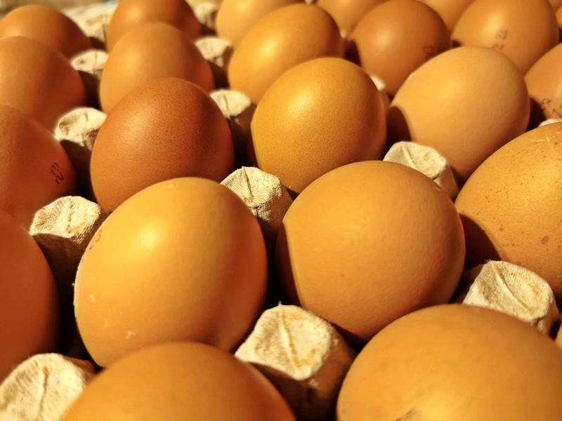 Ouă, Foto: Adrian Ilincescu/ HotNews.ro