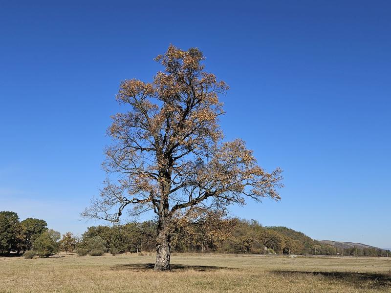 Peisaj de toamna, Foto: Vlad Barza / HotNews.ro