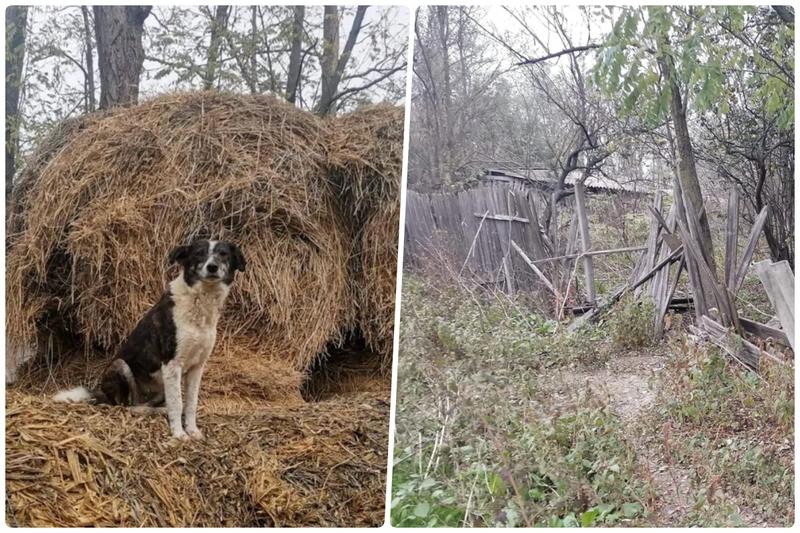 Localitatea din România care mai are doar un locuitor, Foto: Colaj fanatik.ro