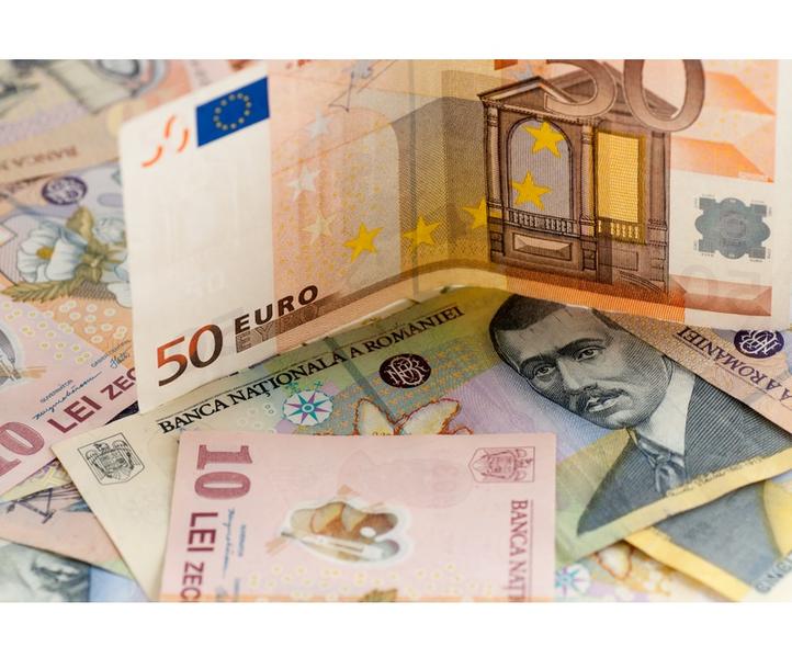 euro-lei-bani, Foto: Dreamstime