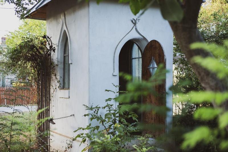 Conac, Foto: Alex Iacob, reptilianul.ro