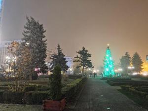 Fara luminite de Craciun la Ploiesti, Foto: Vlad Barza / HotNews.ro