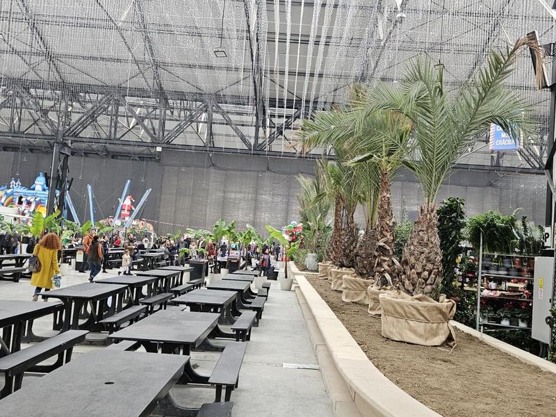 Palmieri in Hala Laminor, Foto: Vlad Barza / HotNews.ro