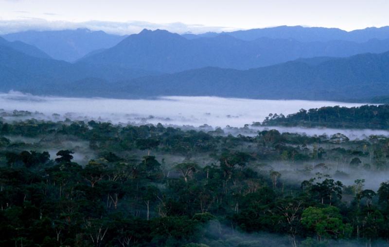 Amazonia, Foto: Mark Eveleigh / Alamy / Profimedia Images