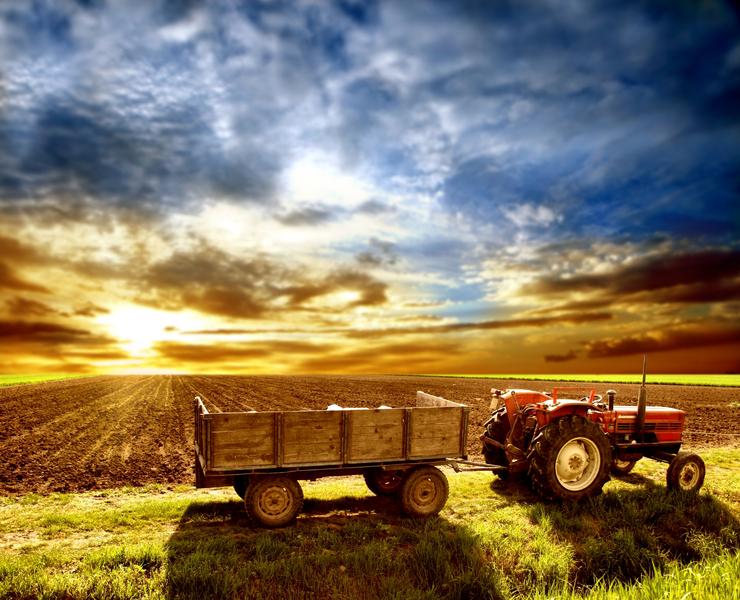 Agricultura, Foto: Bowie15 | Dreamstime.com