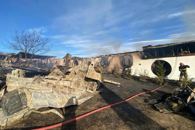 Pompierii au stins incendiul de la Ferma Dacilor, Foto: Handout / AFP / Profimedia